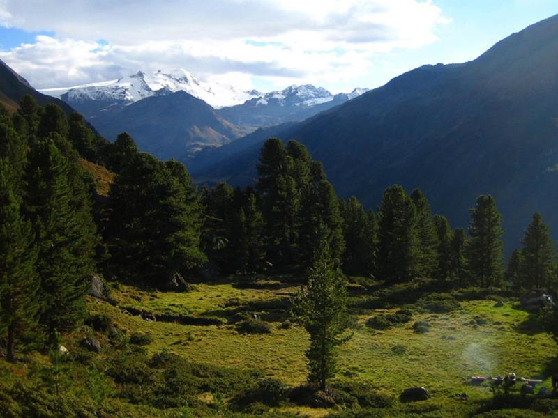 Plattnerhof Kaunertal Eksteriør billede