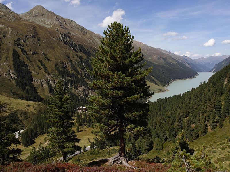 Plattnerhof Kaunertal Eksteriør billede