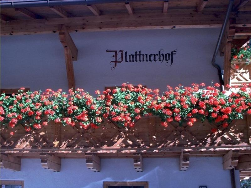 Plattnerhof Kaunertal Værelse billede